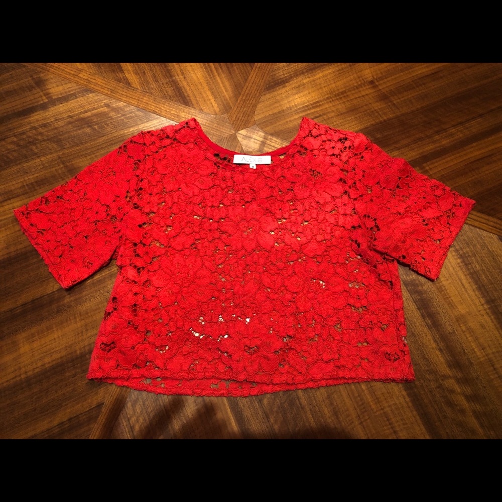 Alexis lace crop top size M